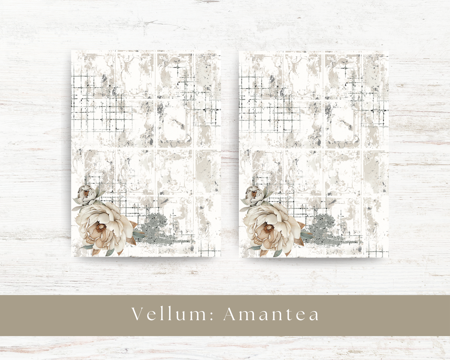Vellum paper: Amantea collection III