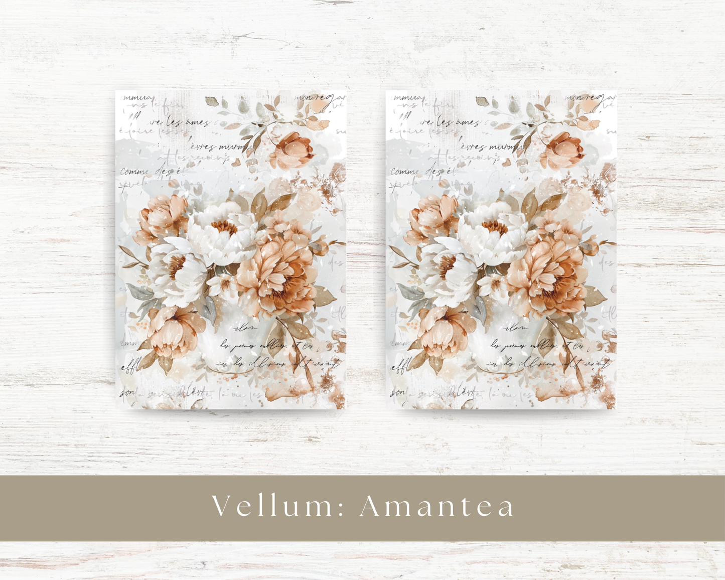 Vellum paper: Amantea collection VI