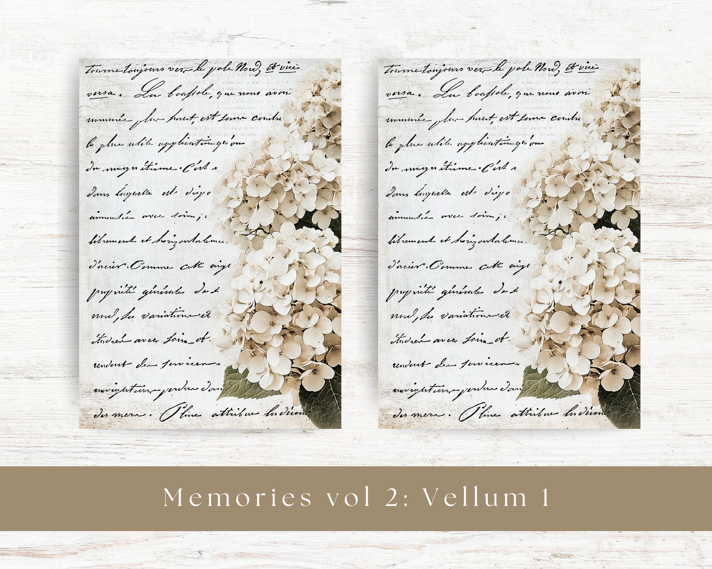 Vellum paper: Memories vol 2