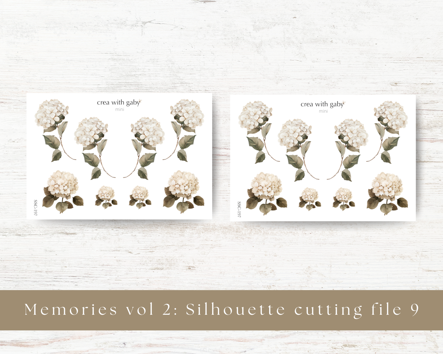 Silhouette cutting file: Memories vol 2 (197)