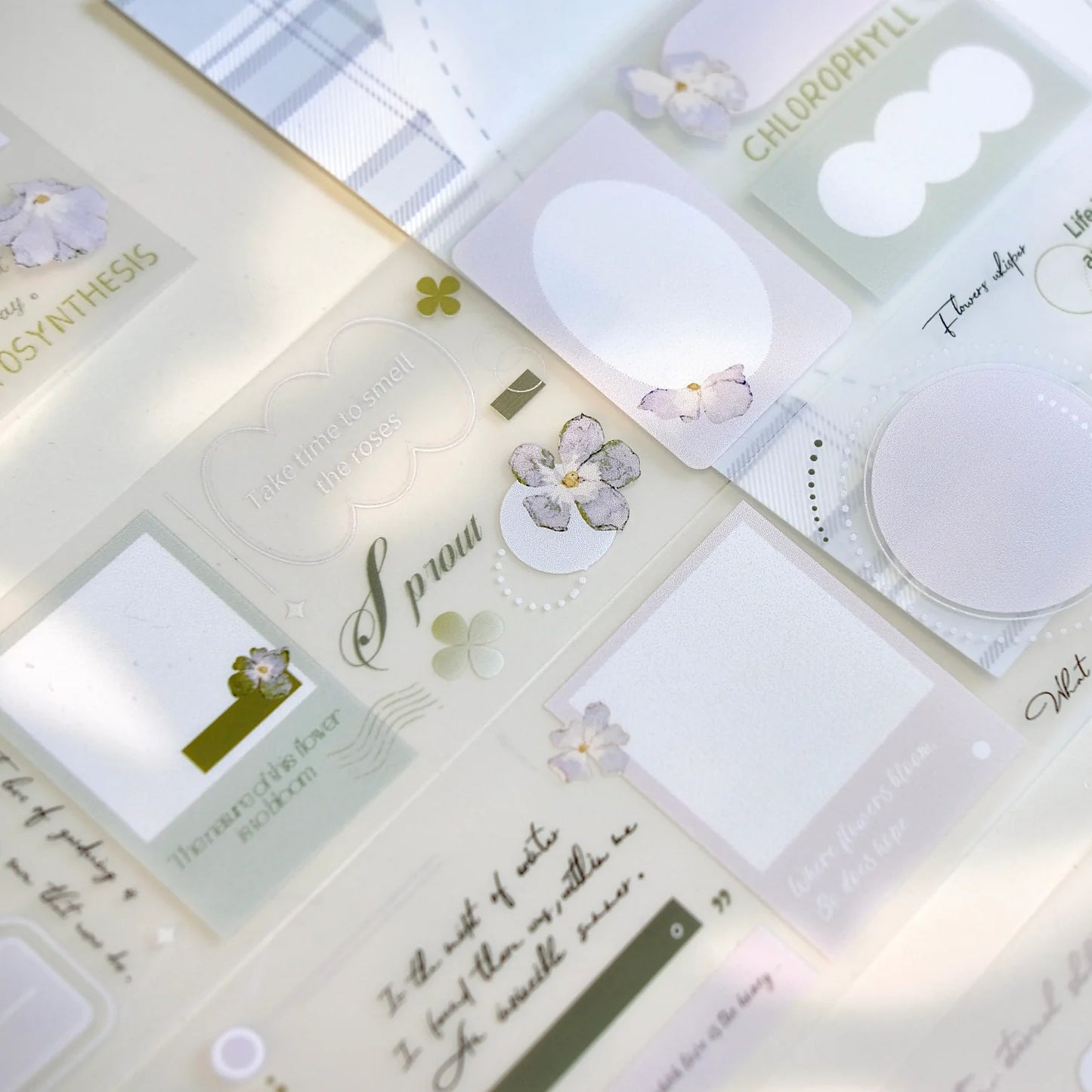 Freckles Tea Vol. 4 Summer Memory - Matte Pet tape (Single loop)