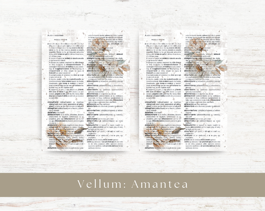Vellum paper: Amantea collection I