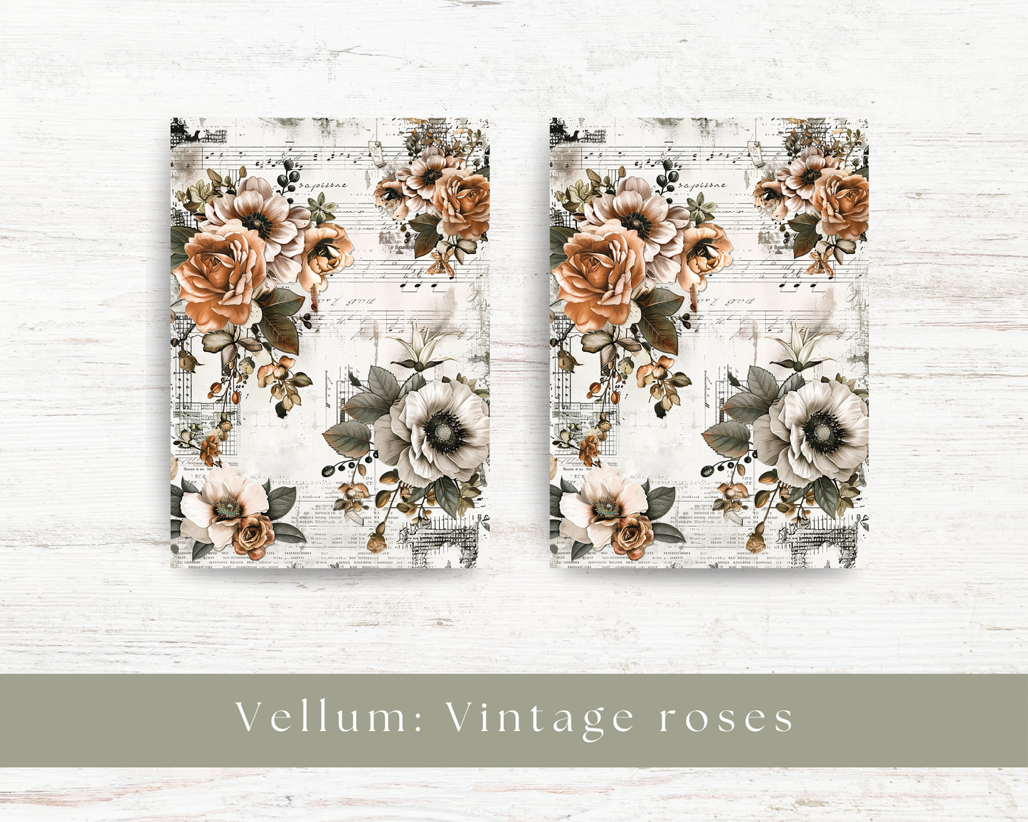 Vellum paper: Vintage roses II