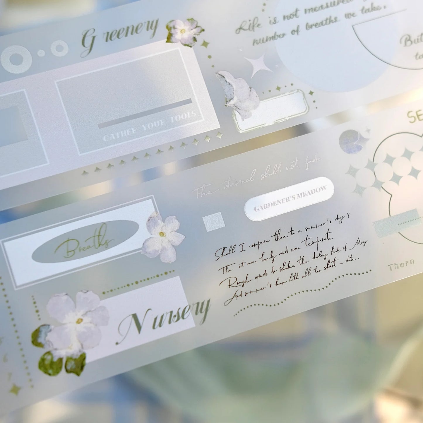 Freckles Tea Vol. 4 Summer Memory - Matte Pet tape (Single loop)