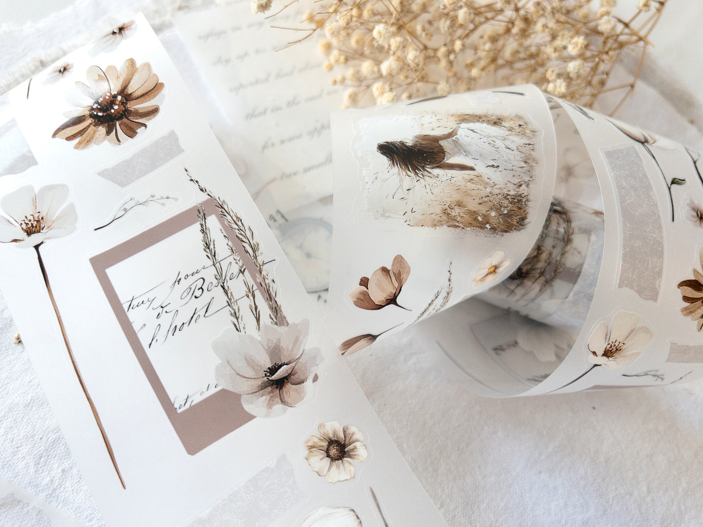 Pre-cut PET tape: Timeless collection
