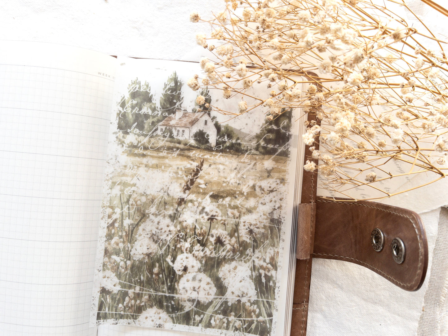 Vellum & sticker dashboards: Timeless collection