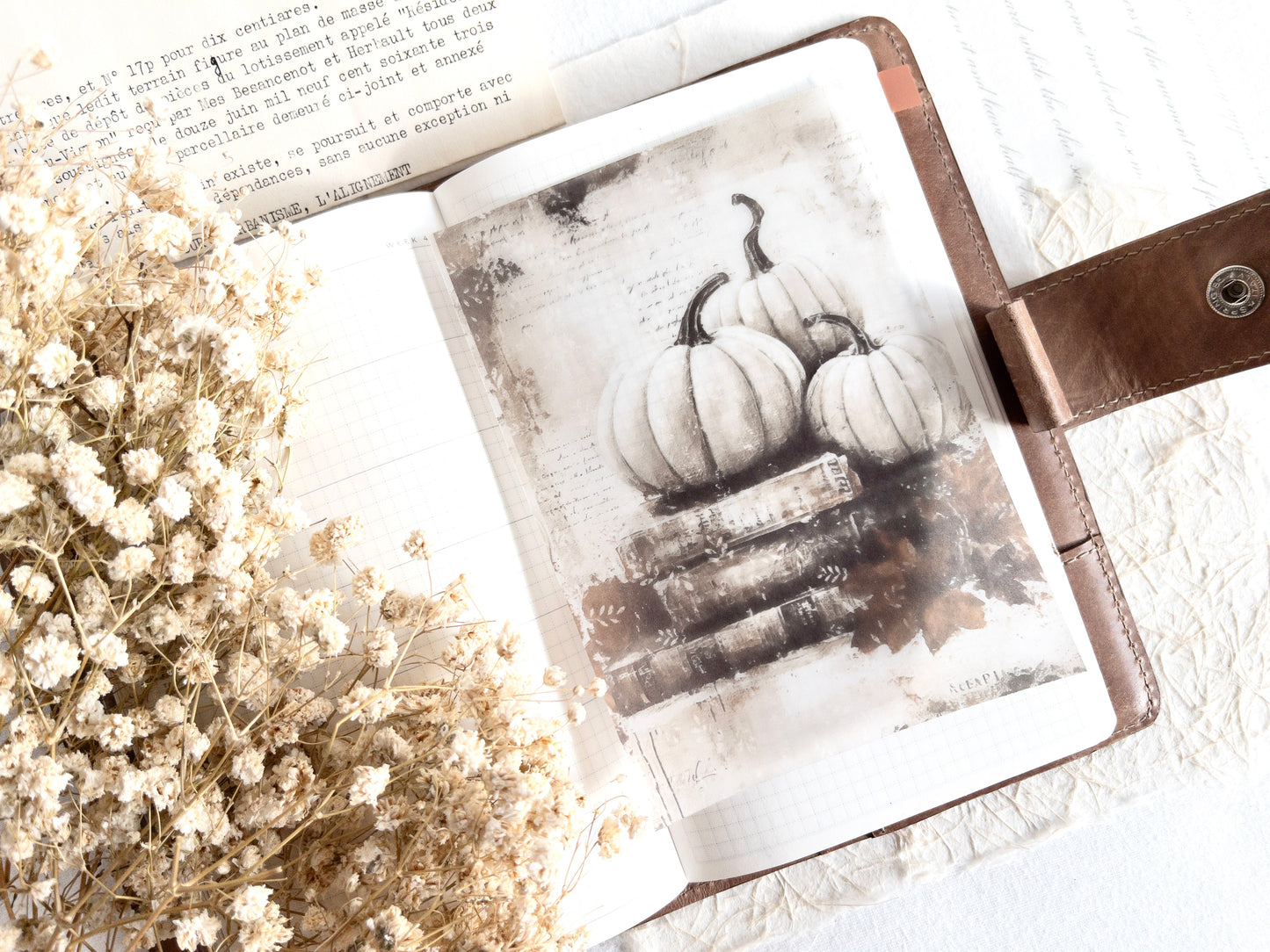 Deco dashboard: Autumn's pause