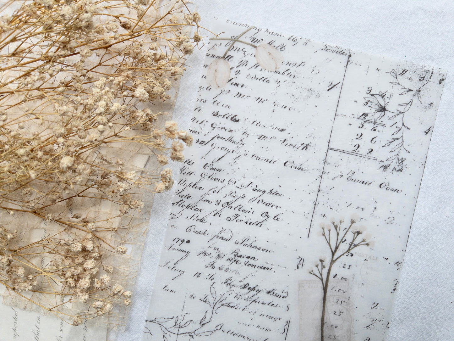 Vellum bundle: Magic collection (Set of 5)