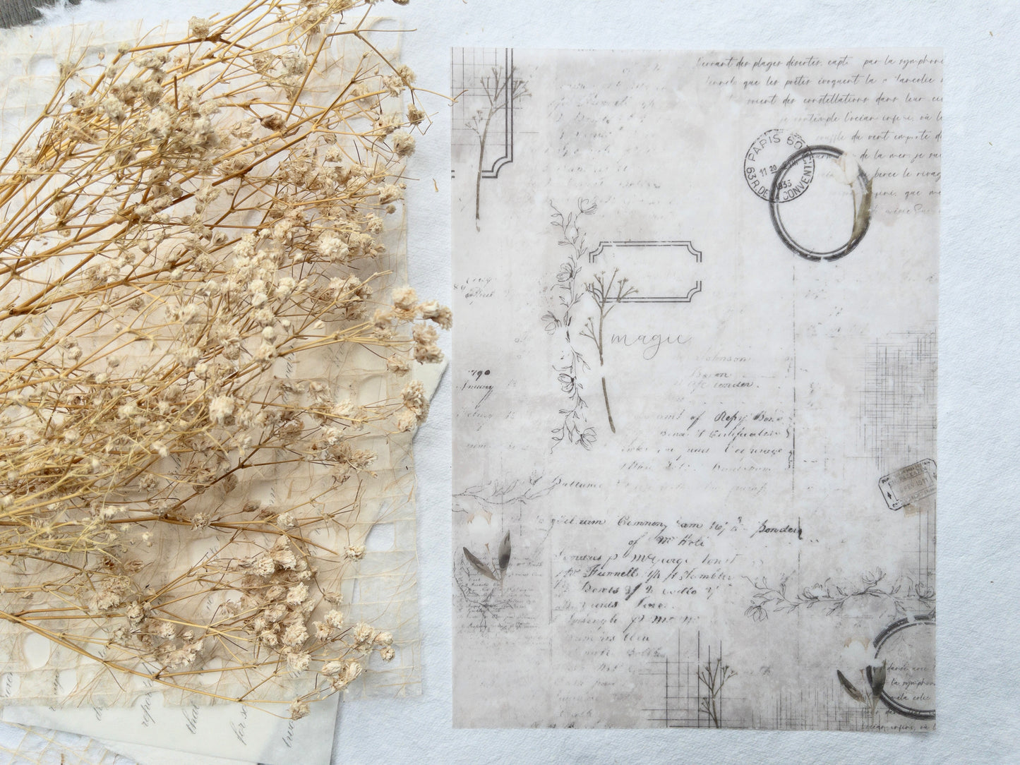Vellum paper: Magic collection