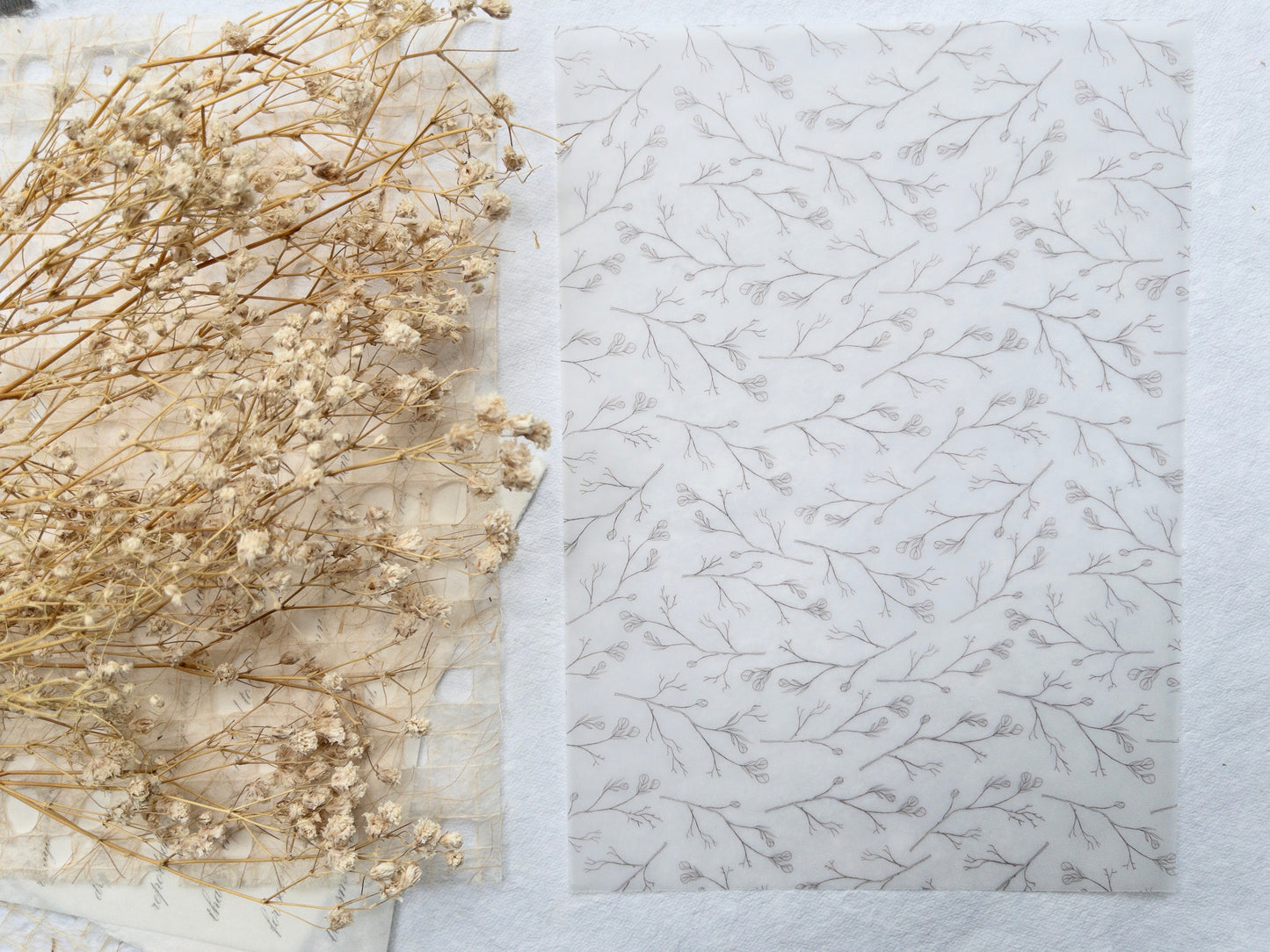 Vellum bundle: Magic collection (Set of 5)