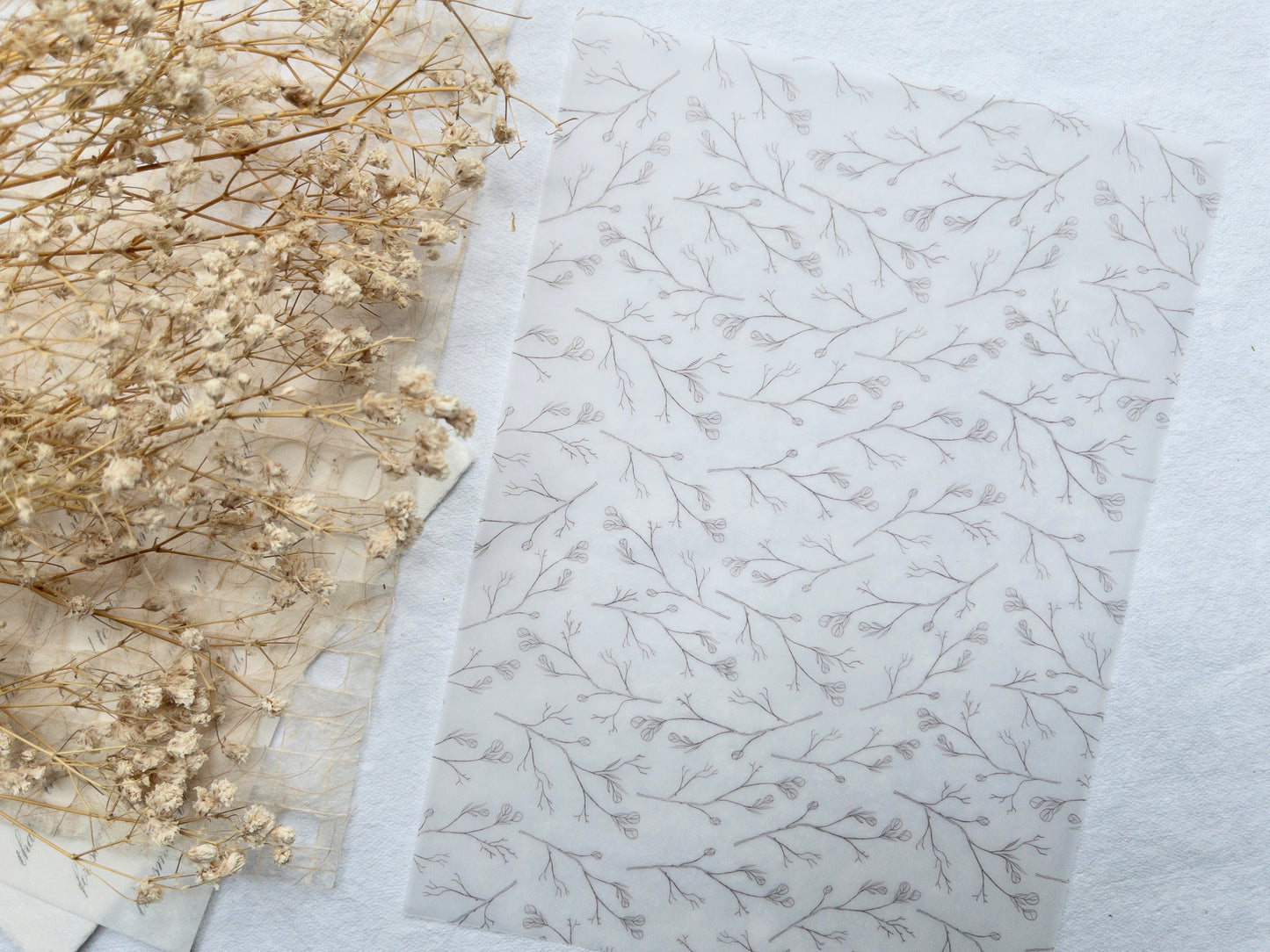 Vellum paper: Magic collection