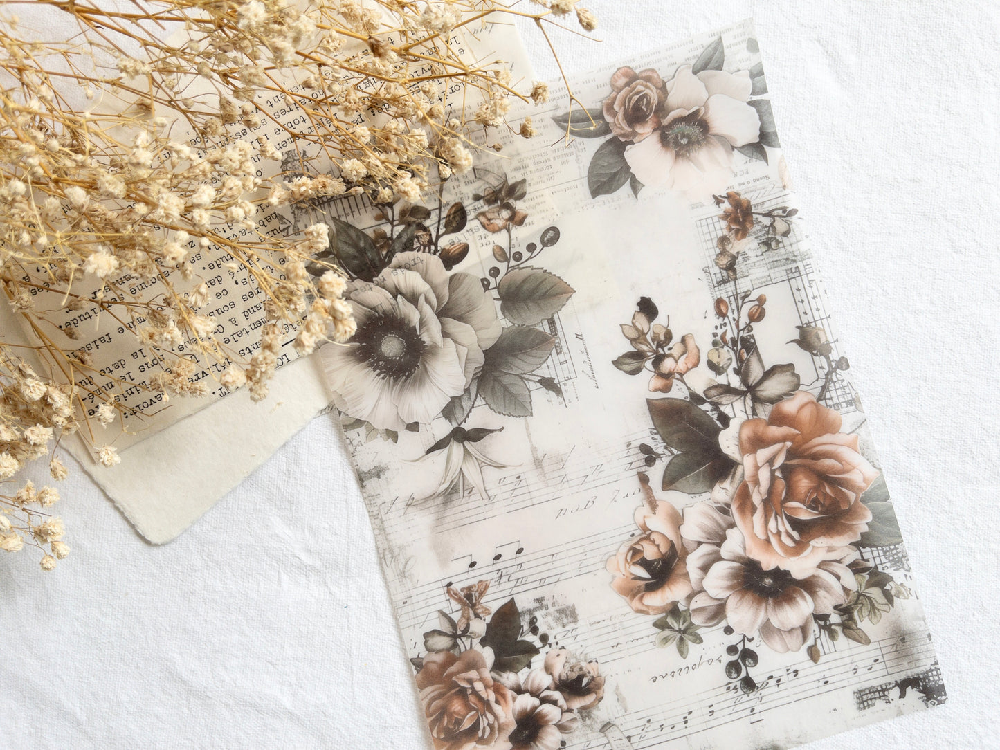 Vellum paper: Vintage roses II