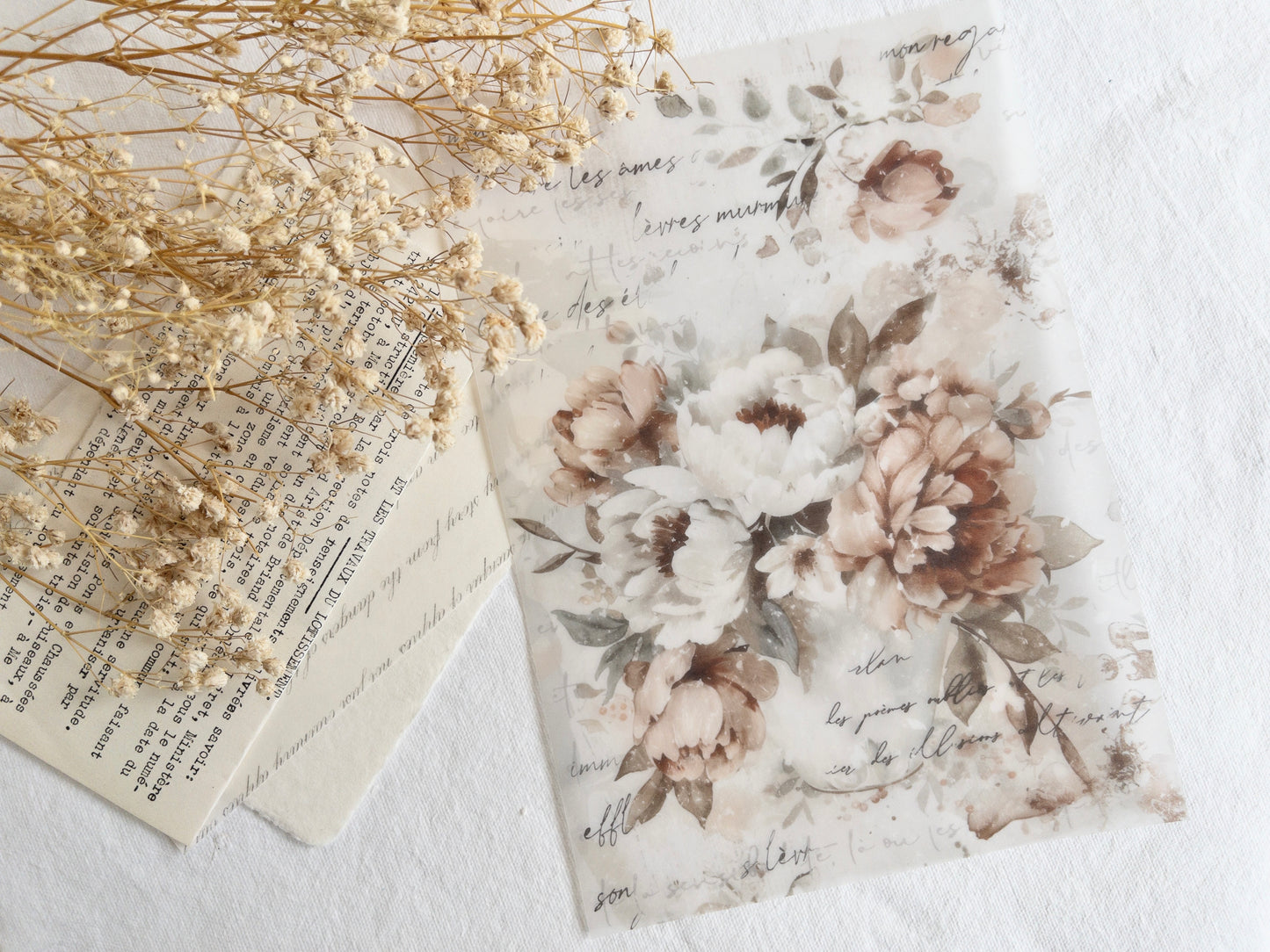 Vellum paper: Amantea collection VI