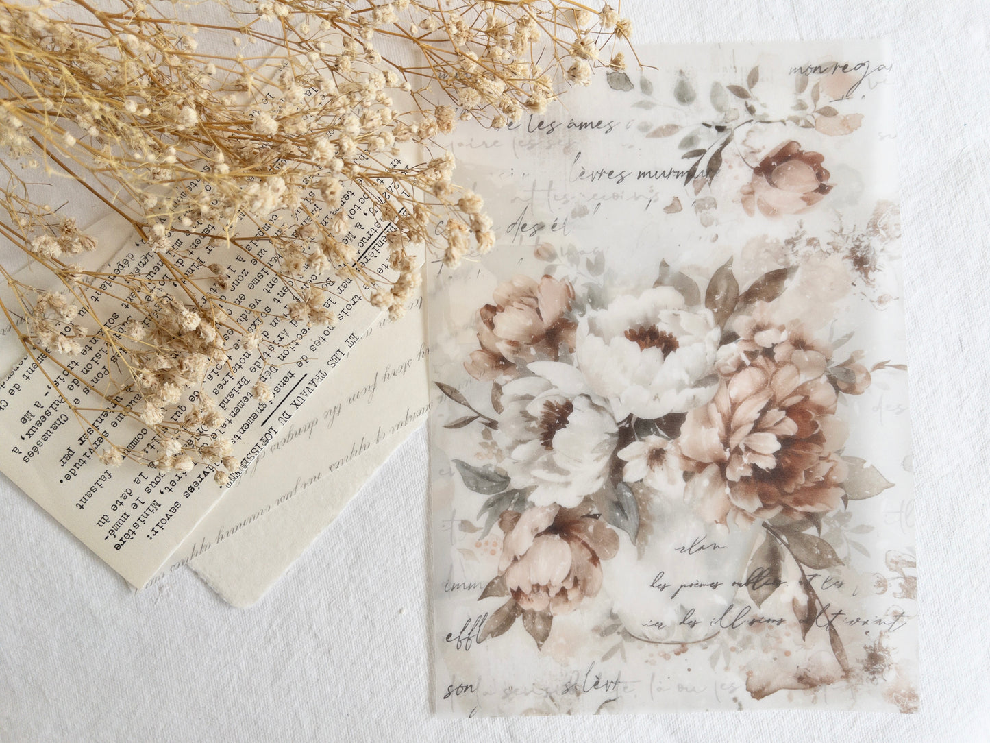 Vellum paper: Amantea collection VI