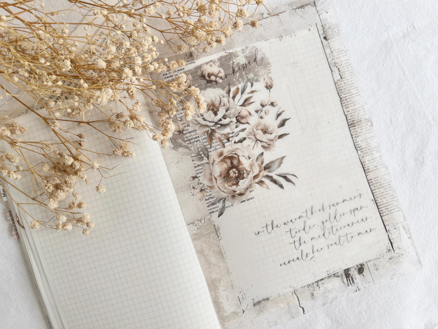 Vellum bundle: Amantea collection