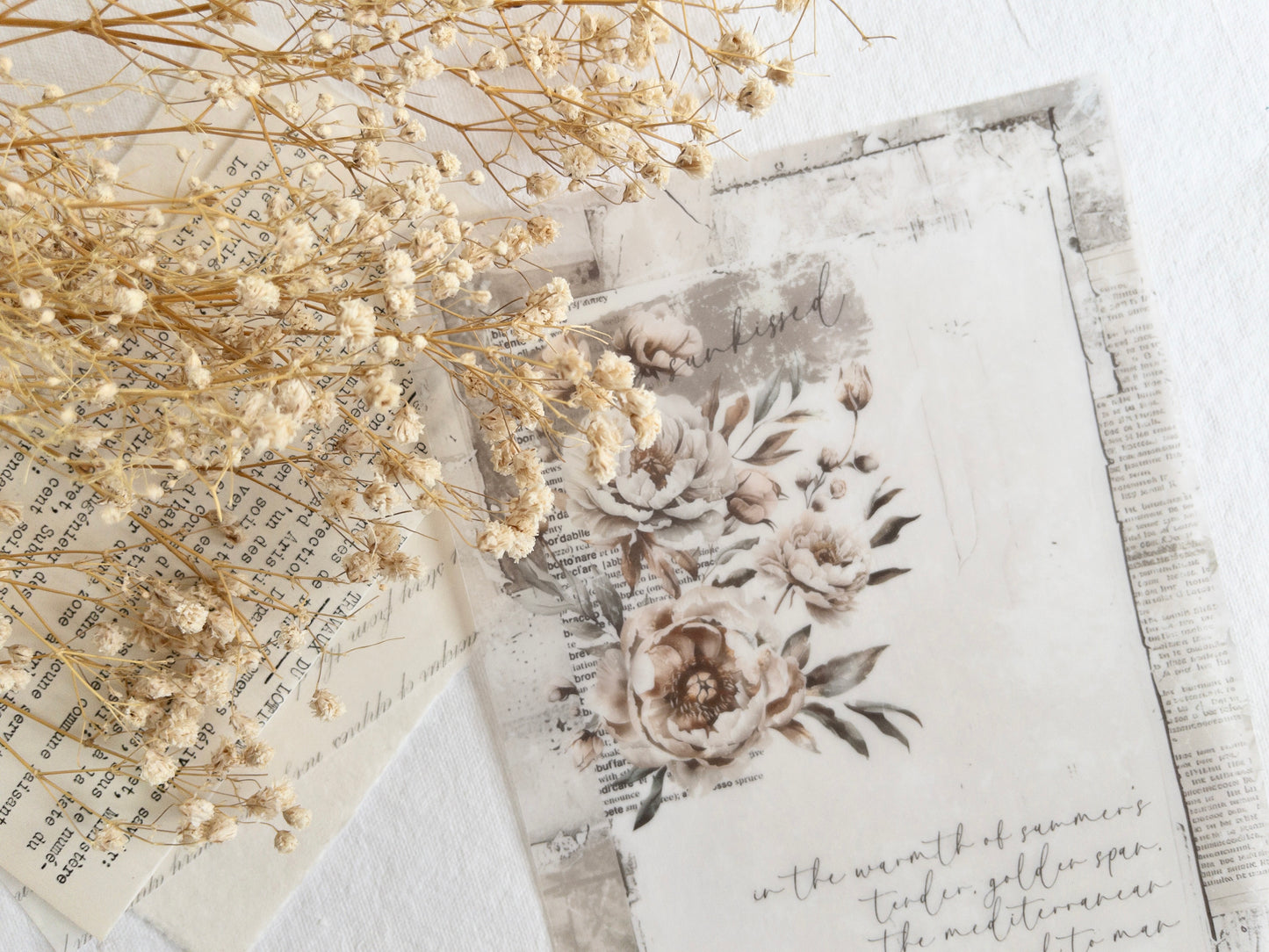Vellum paper: Amantea collection V