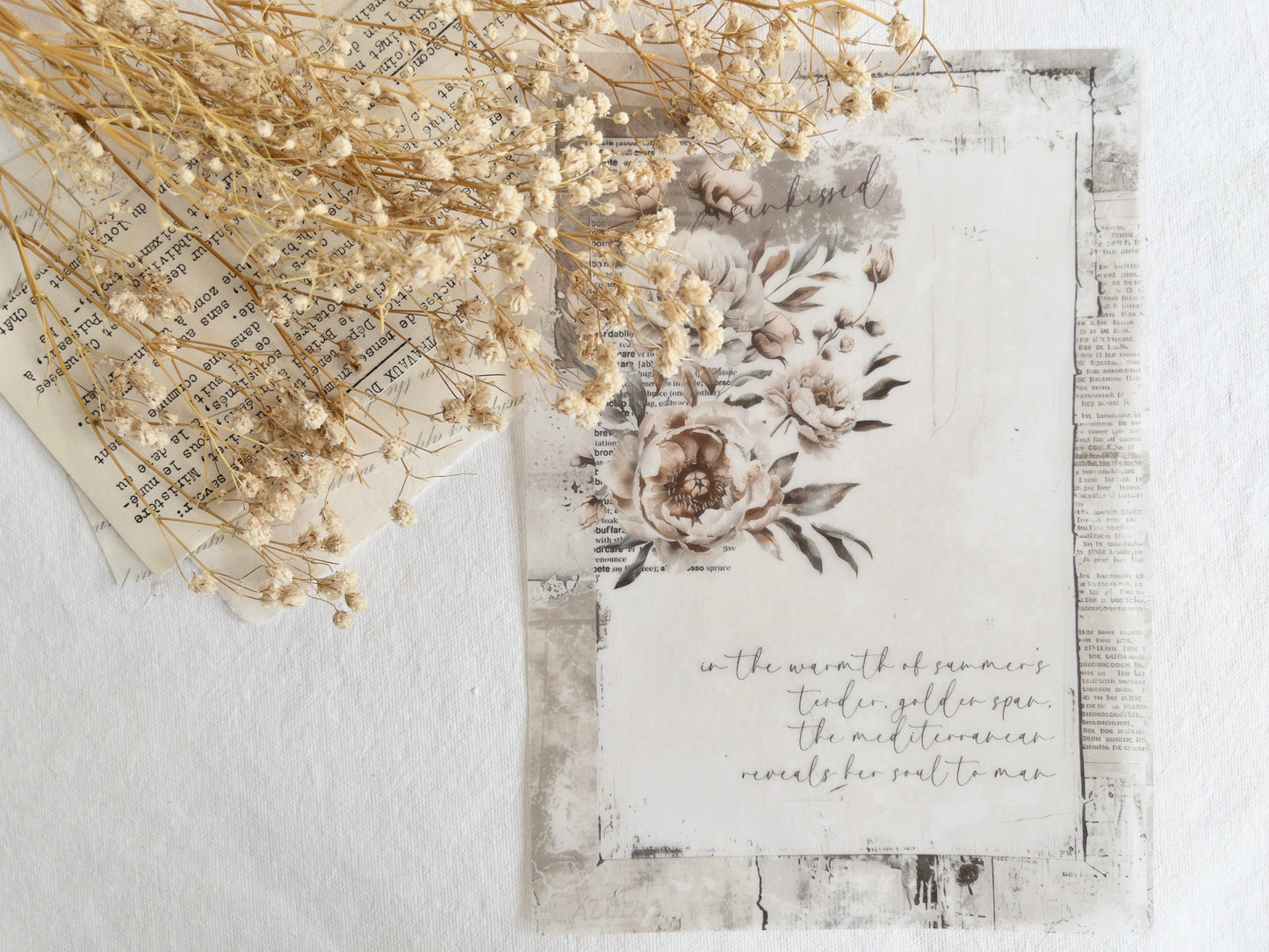 Vellum paper: Amantea collection V