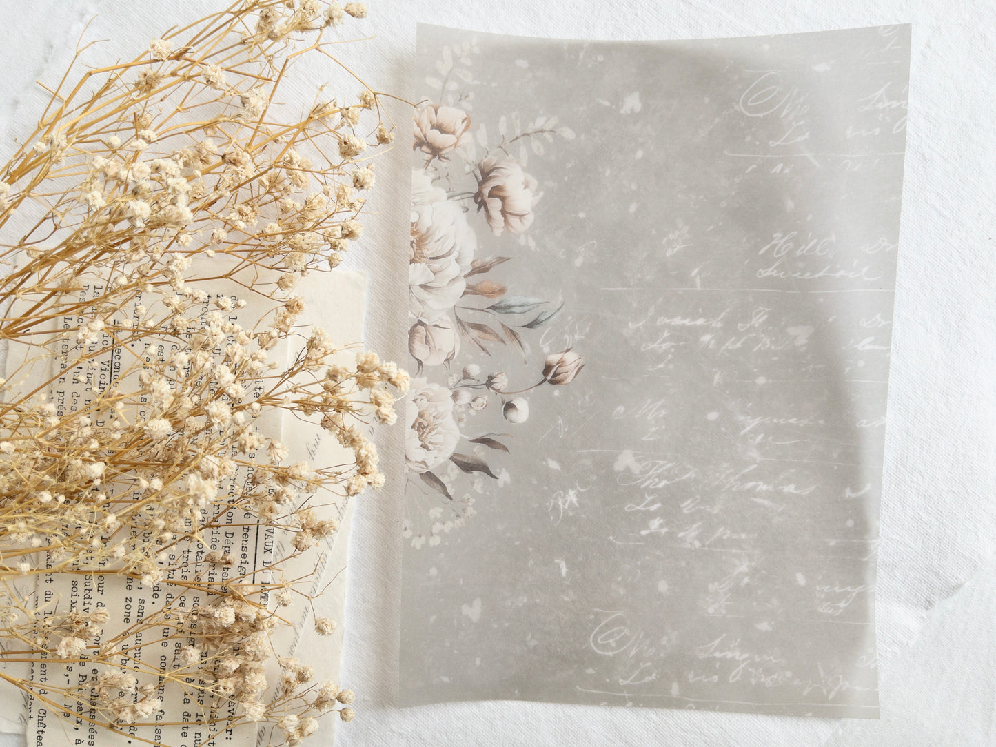 Vellum paper: Amantea collection IV