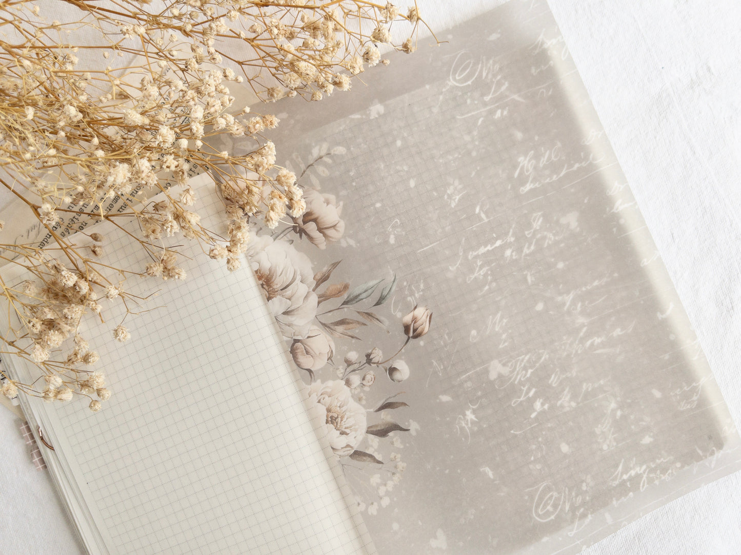 Vellum bundle: Amantea collection