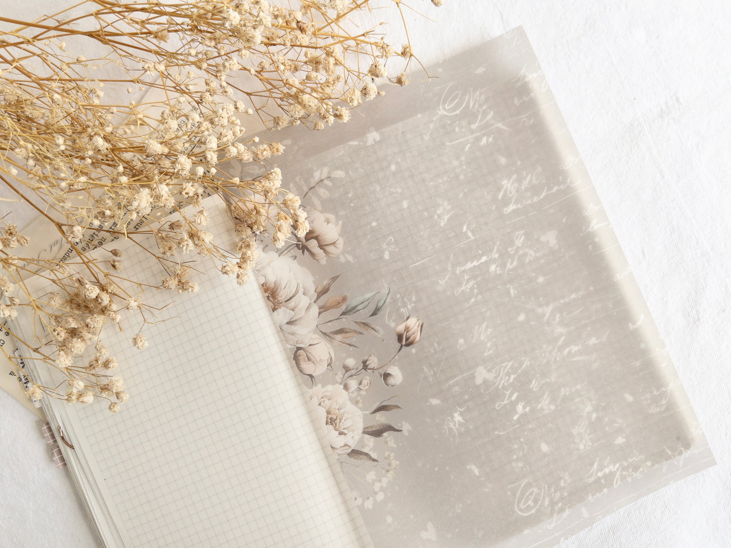 Vellum paper: Amantea collection IV