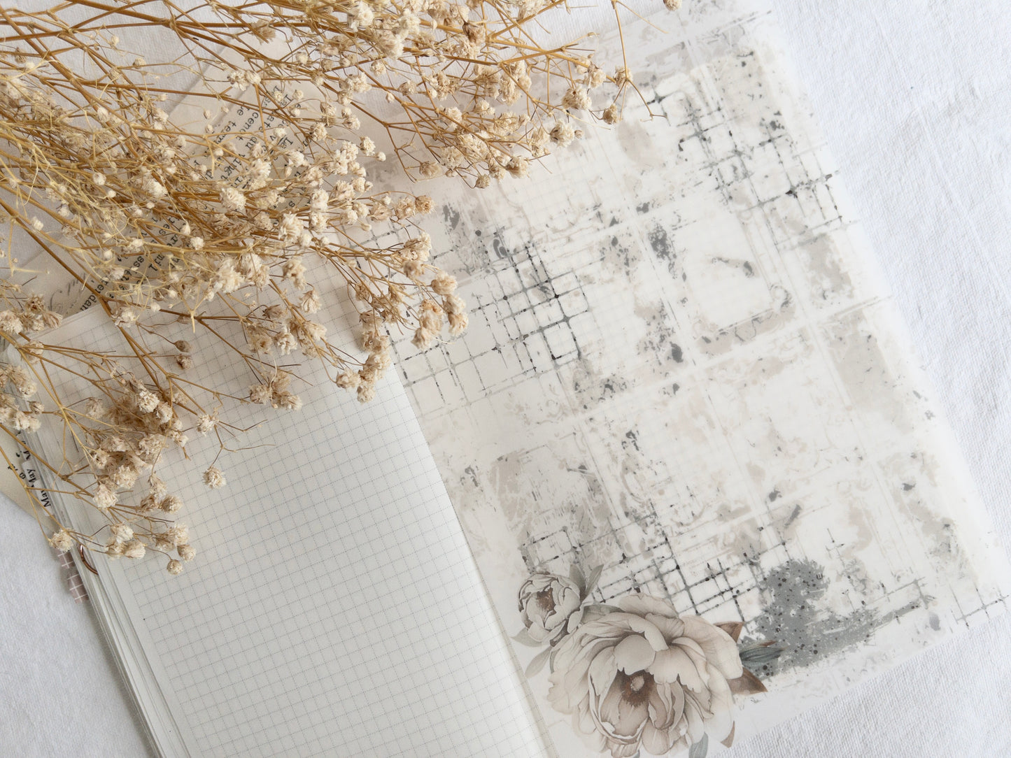 Vellum bundle: Amantea collection