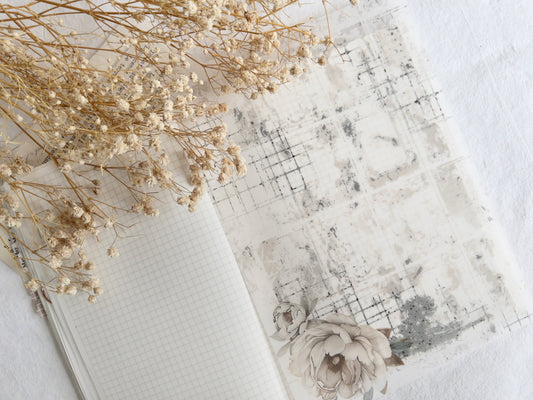 Vellum paper: Amantea collection III