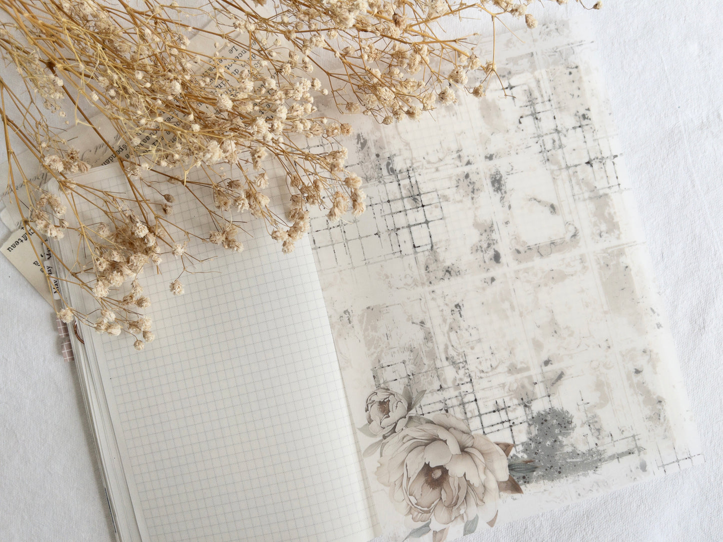 Vellum paper: Amantea collection III