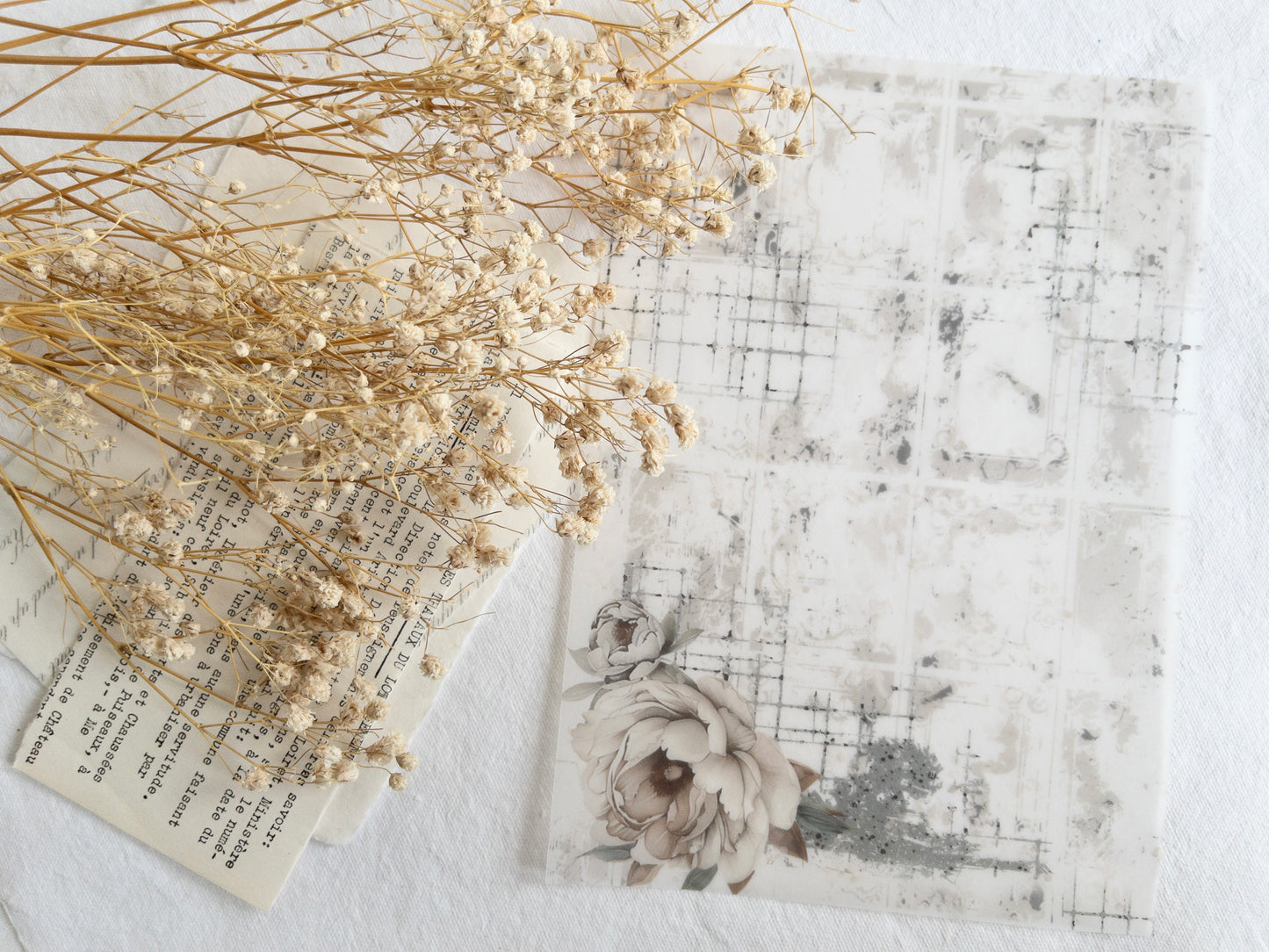 Vellum paper: Amantea collection III