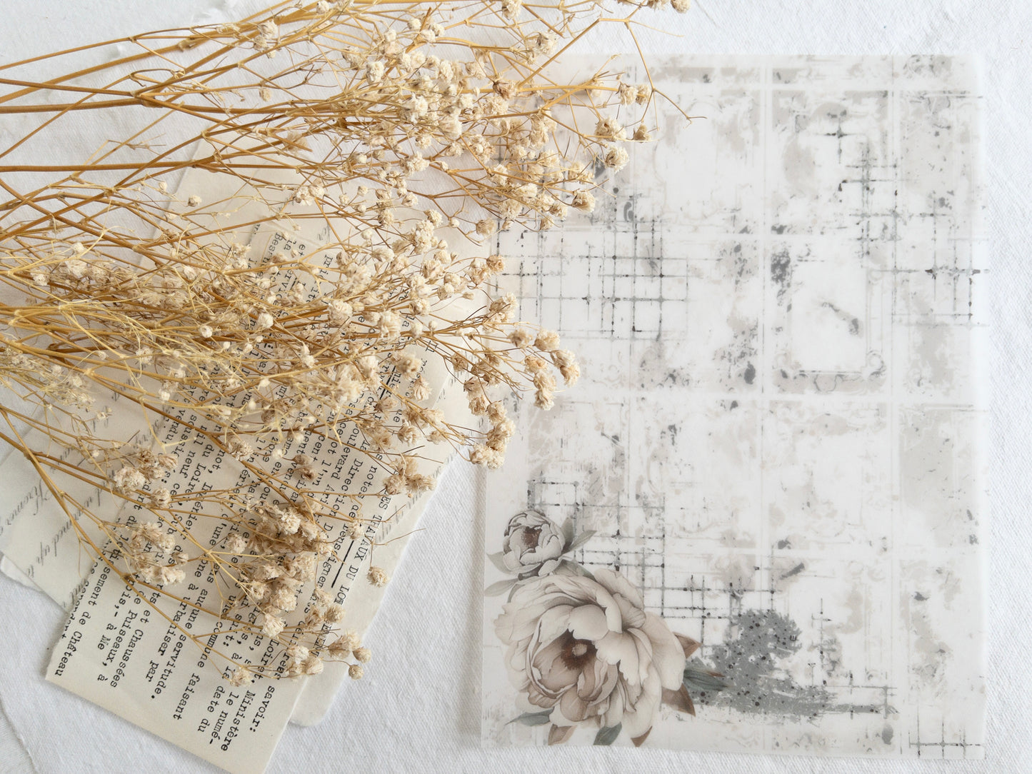 Vellum paper: Amantea collection III