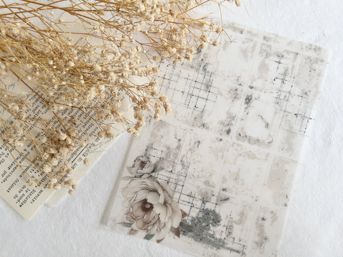Vellum paper: Amantea collection III