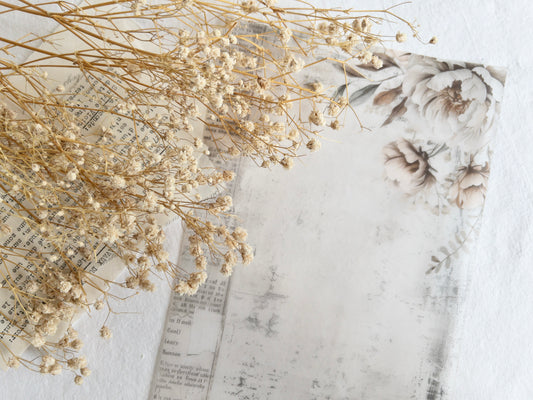 Vellum paper: Amantea collection II