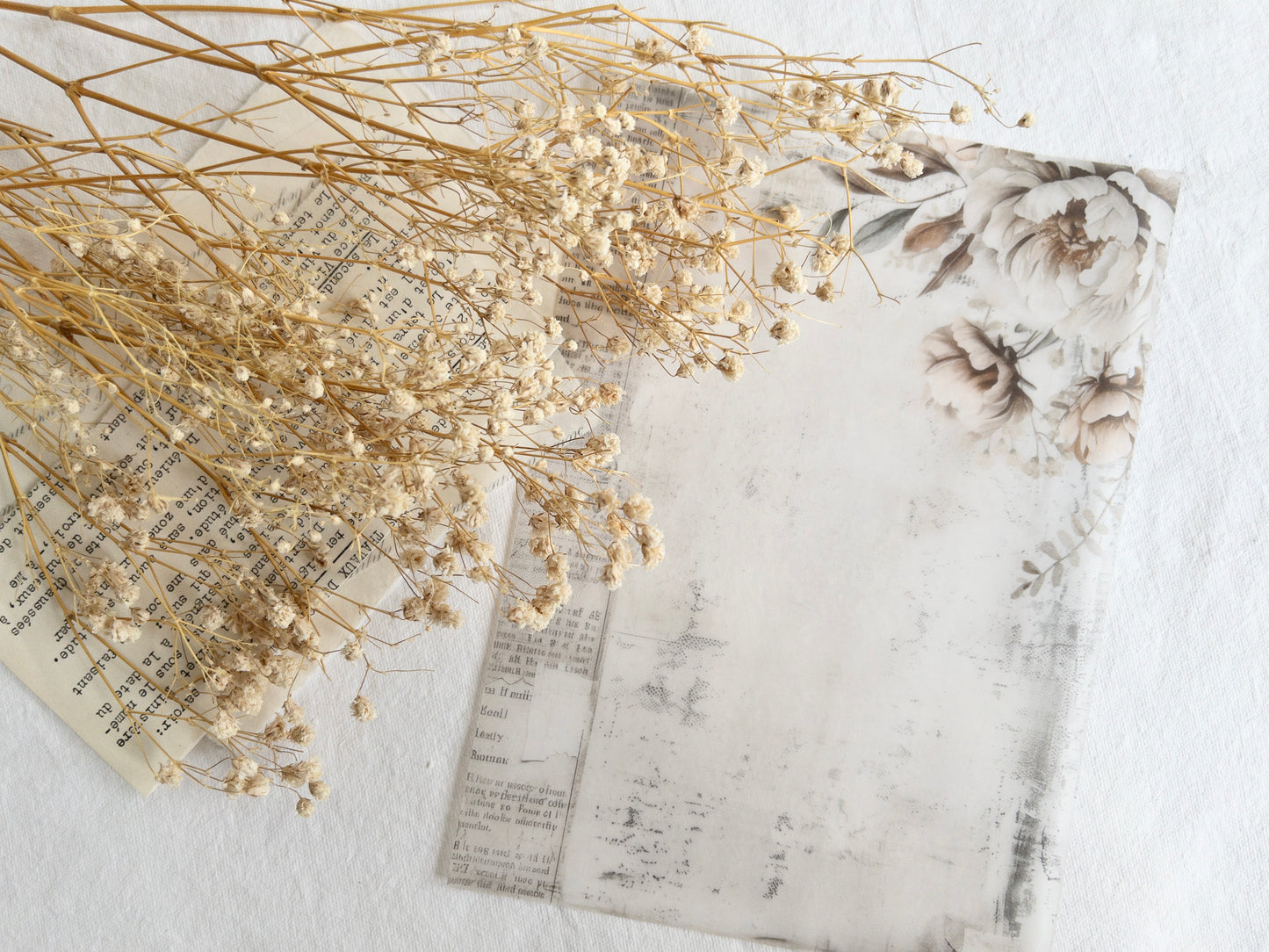 Vellum paper: Amantea collection II