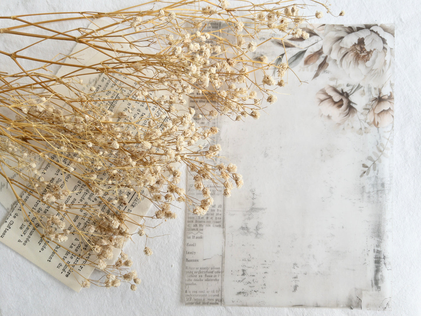 Vellum paper: Amantea collection II
