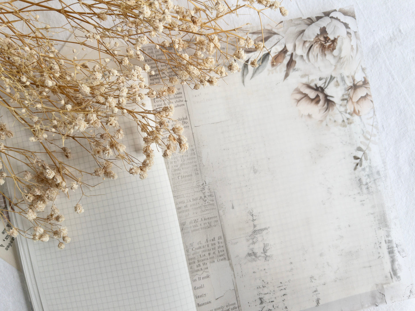 Vellum bundle: Amantea collection