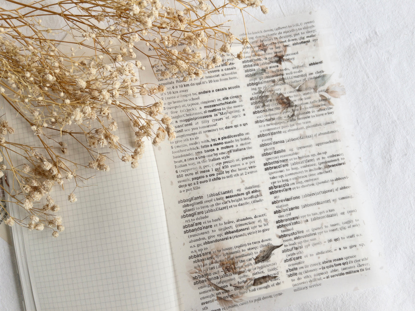 Vellum bundle: Amantea collection