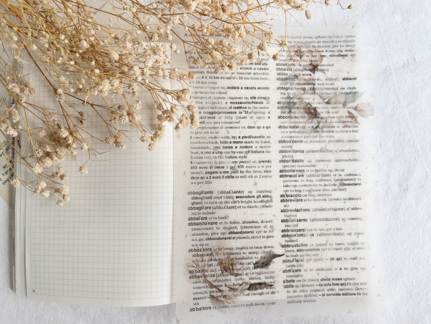 Vellum paper: Amantea collection I