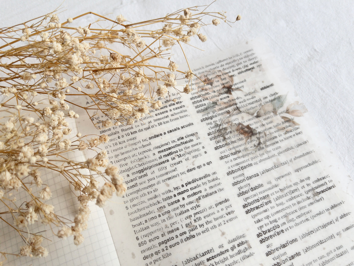 Vellum paper: Amantea collection I