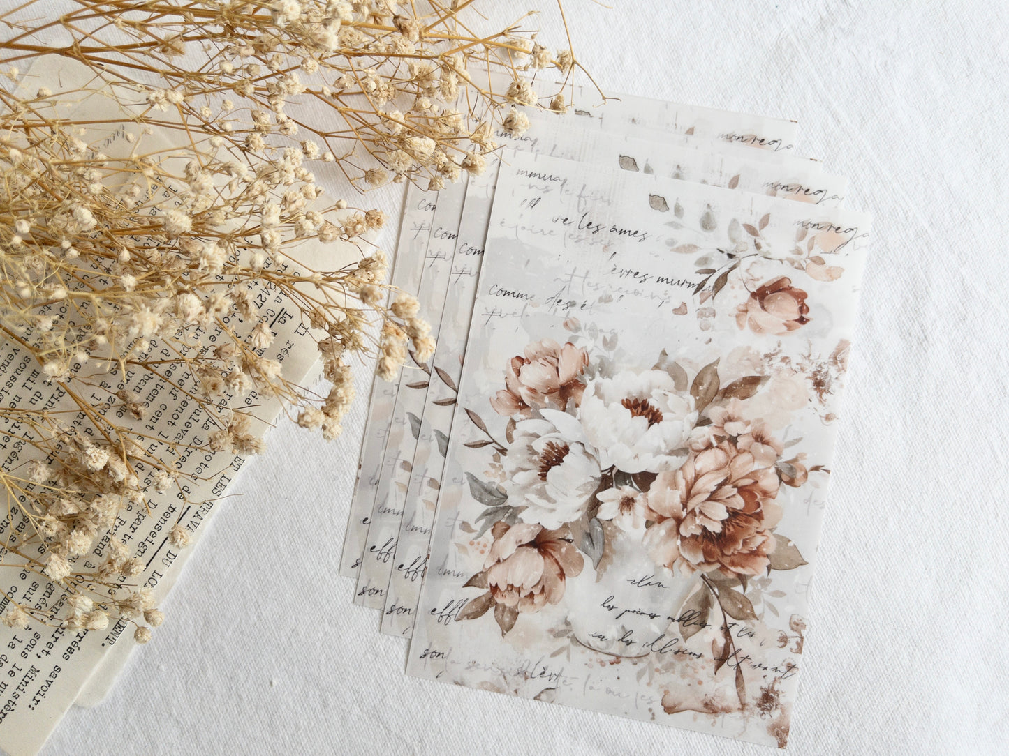 Sticker dashboard bundle: Amantea collection
