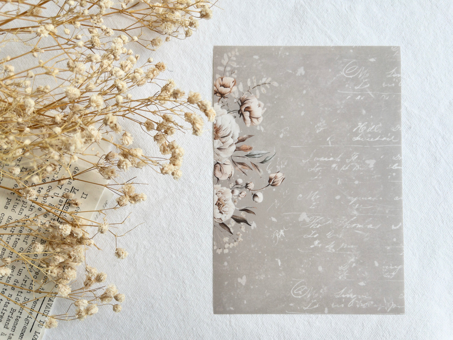Sticker dashboard bundle: Amantea collection