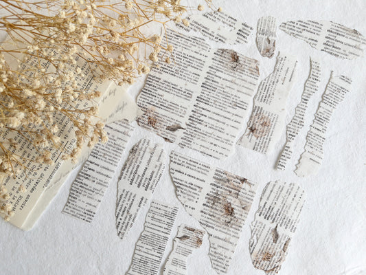 Torn paper sticker flakes: Amantea collection (Set of 12)