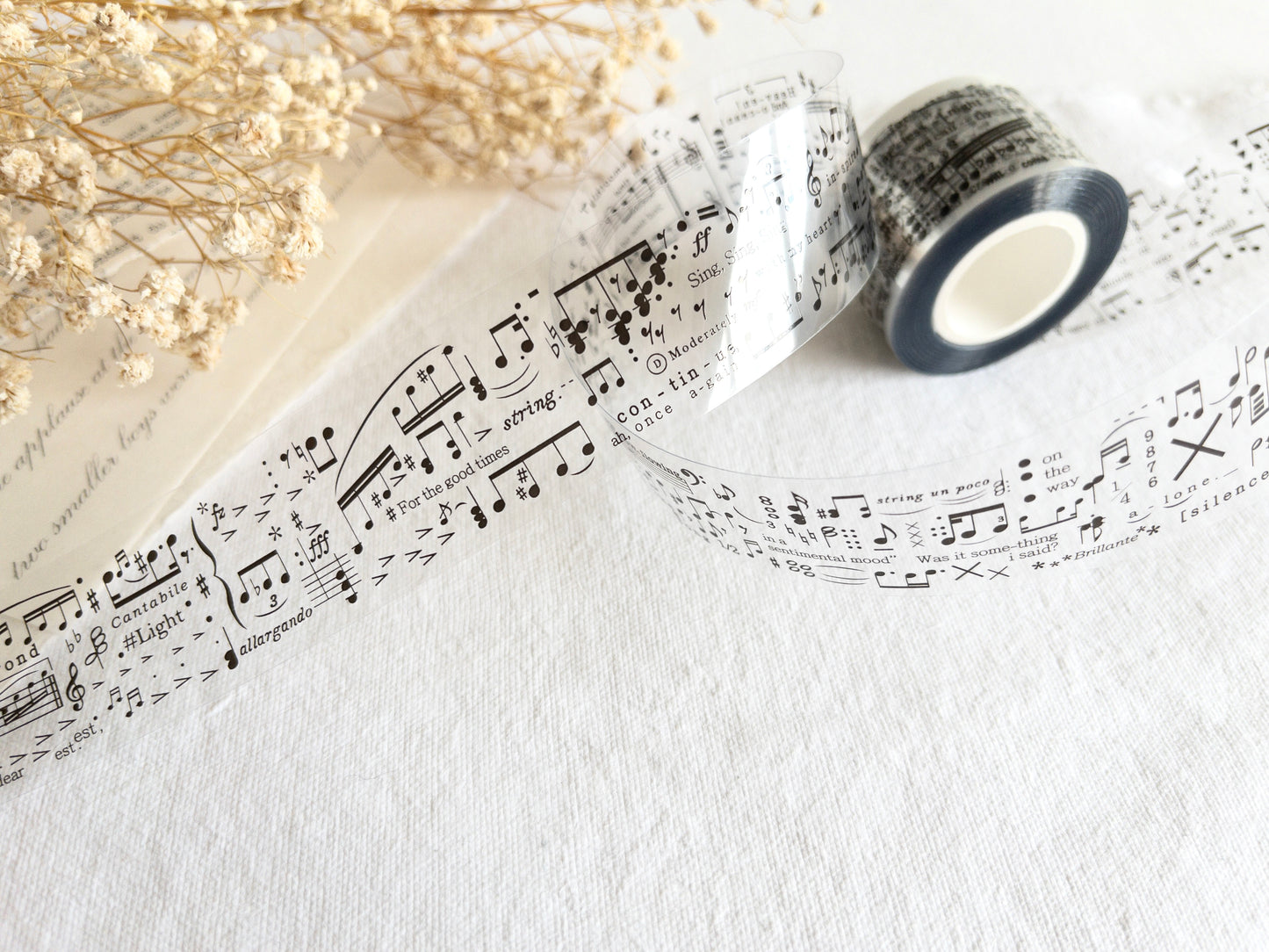 PlusMinus PET Tape: Your Song (Single loop)