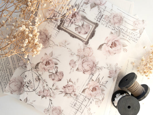 A4 Vellum: The blooming archive (shipped folded in half)