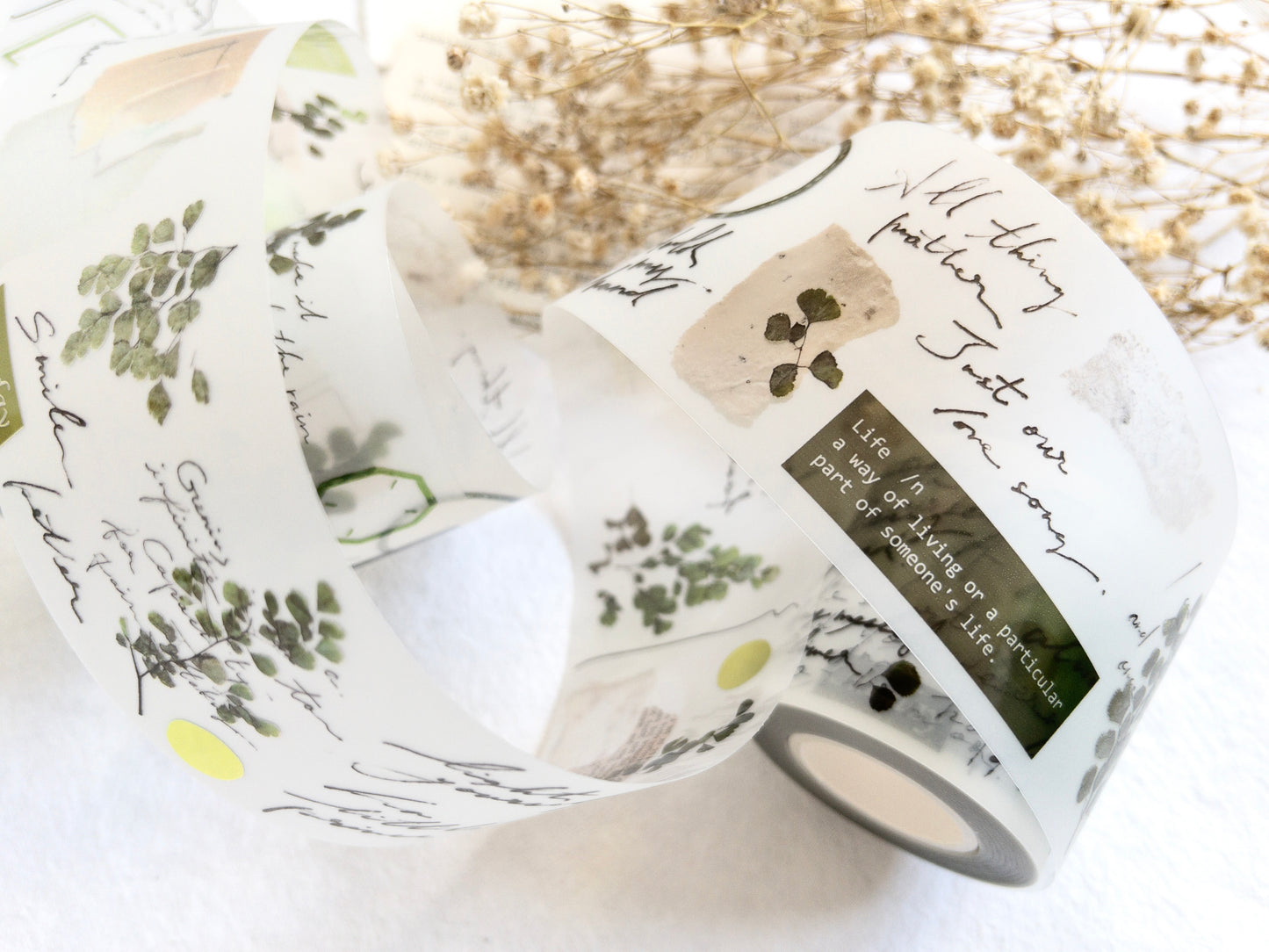 Shiwu "Collage 06" pet tape (Single loop)