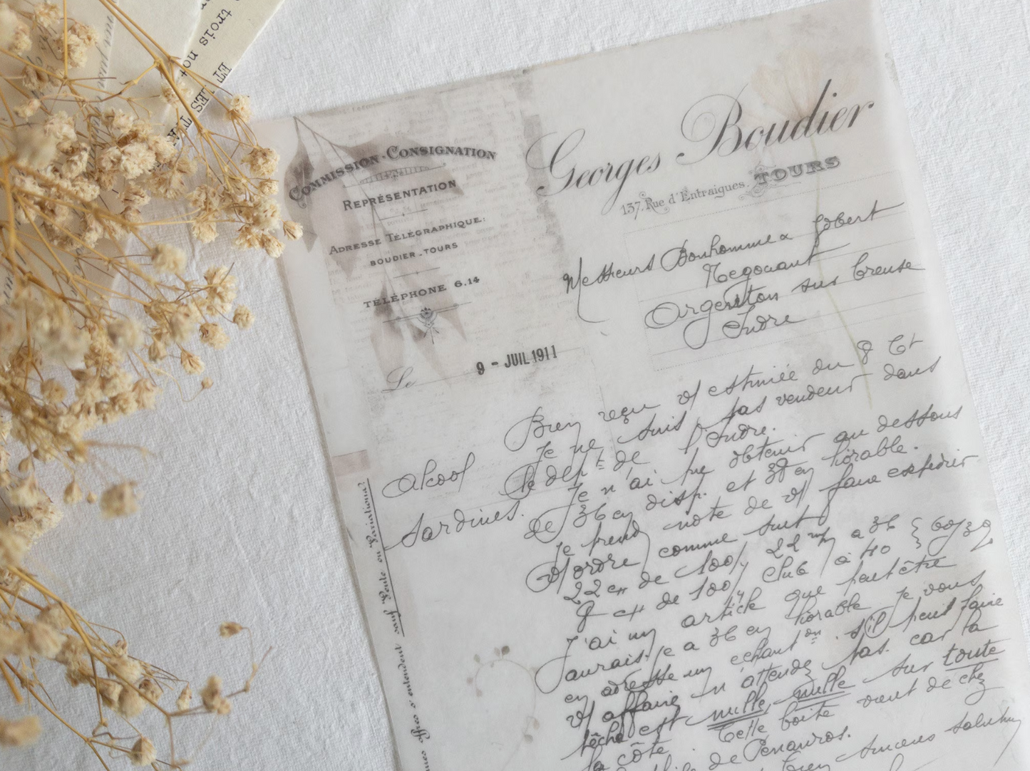 Vellum paper: Memories