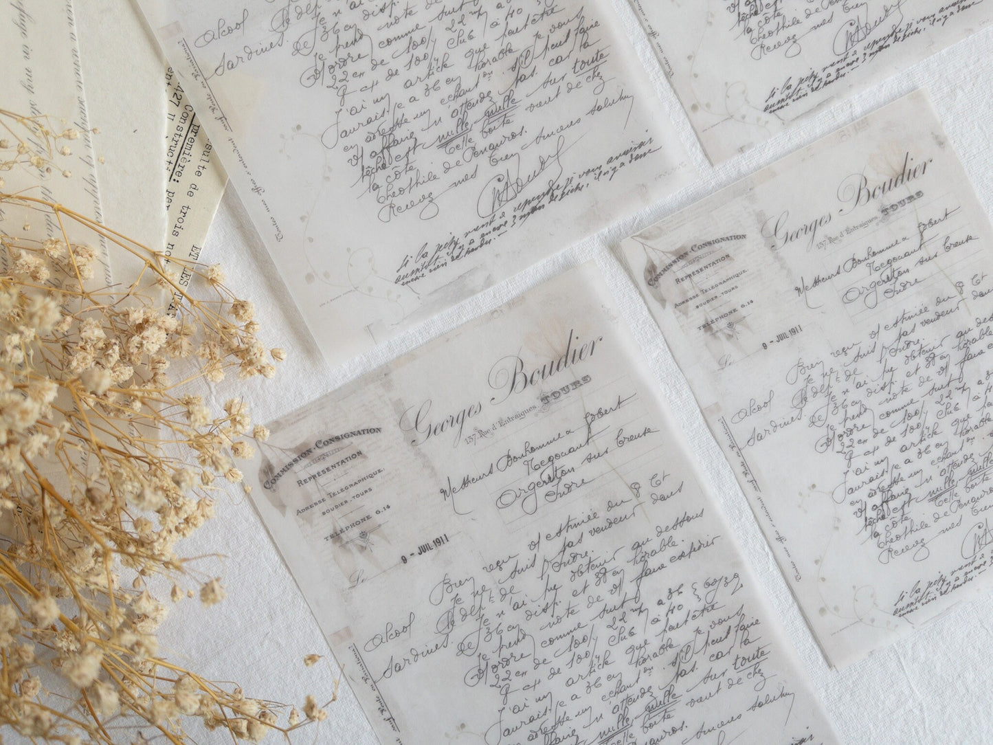 Vellum paper: Memories
