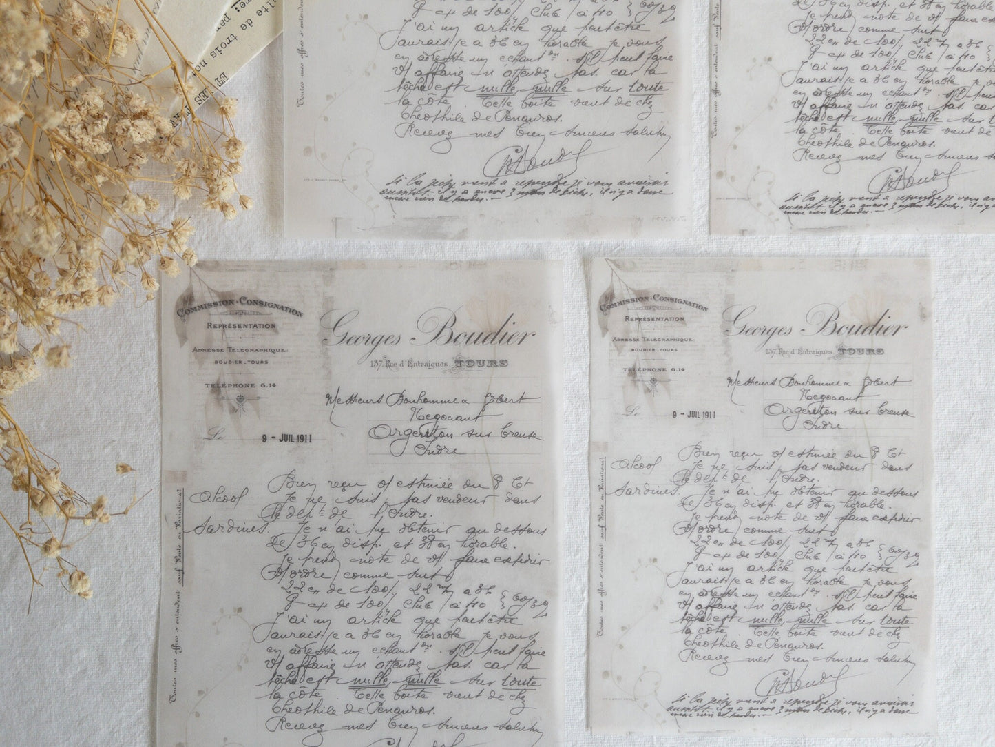 Vellum paper: Memories
