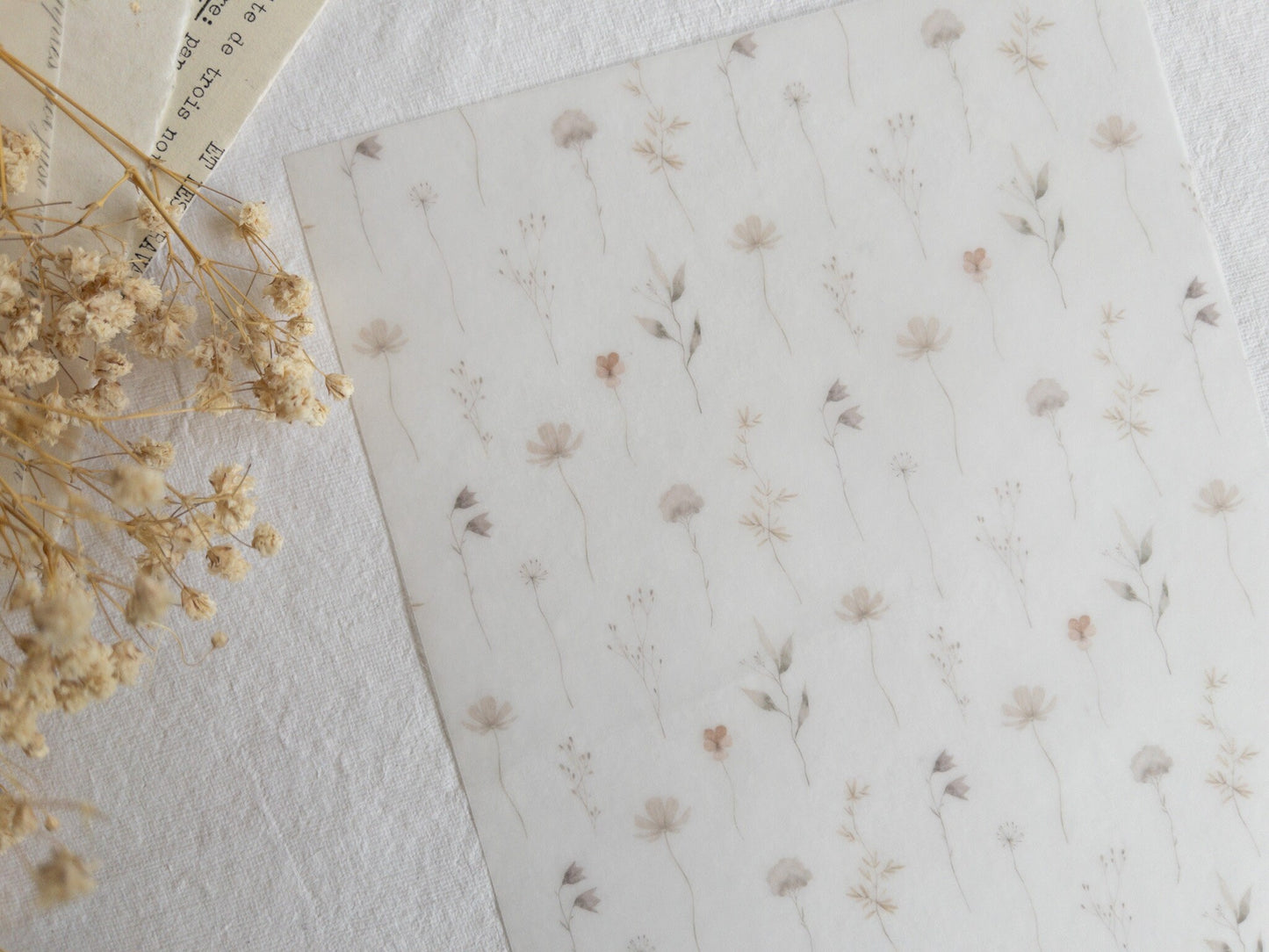 Vellum paper: Memories