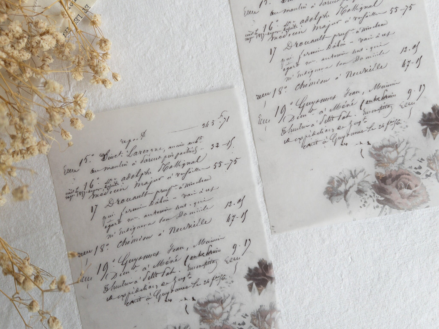Vellum paper: Memories