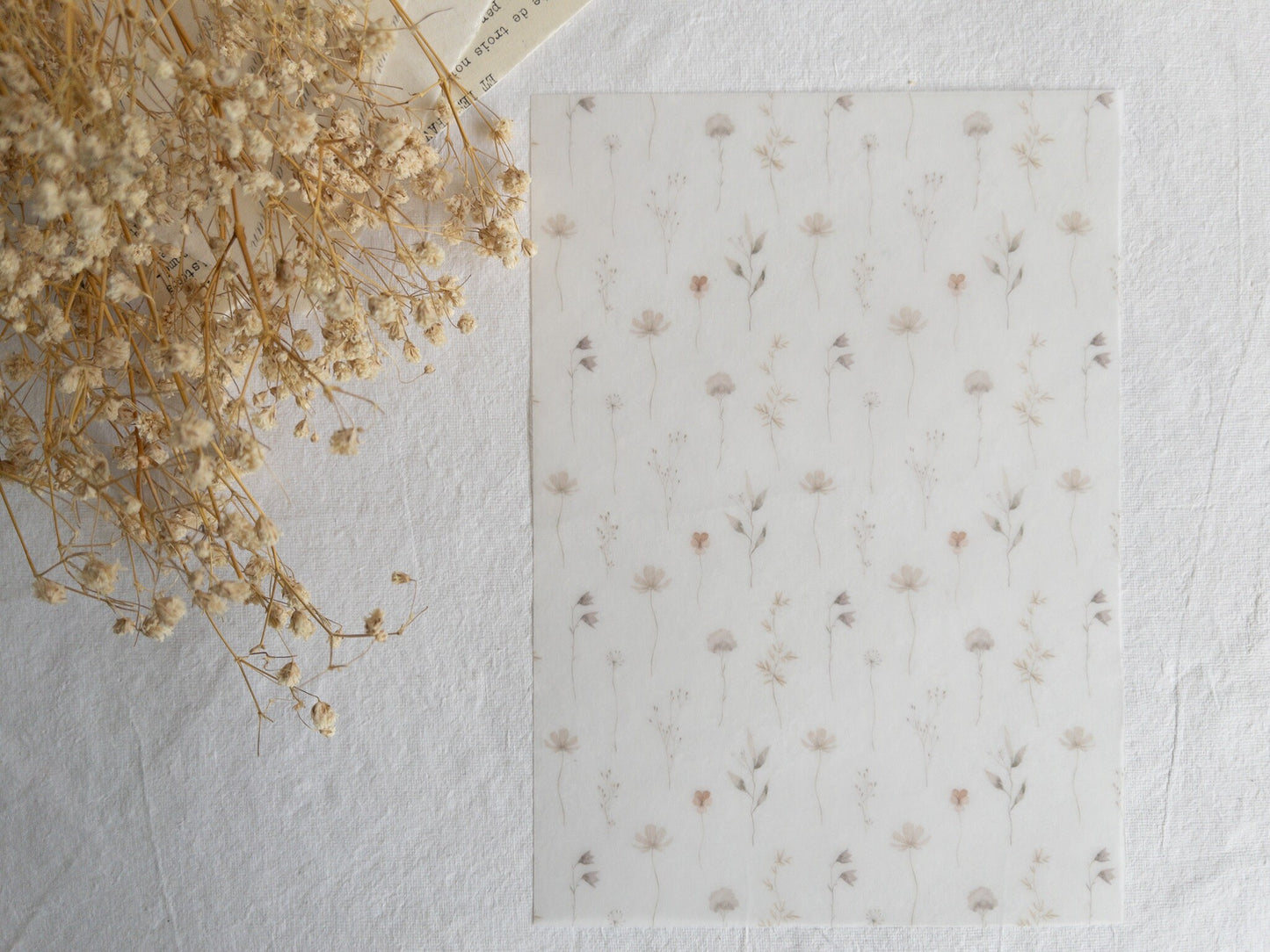 Vellum paper: Memories
