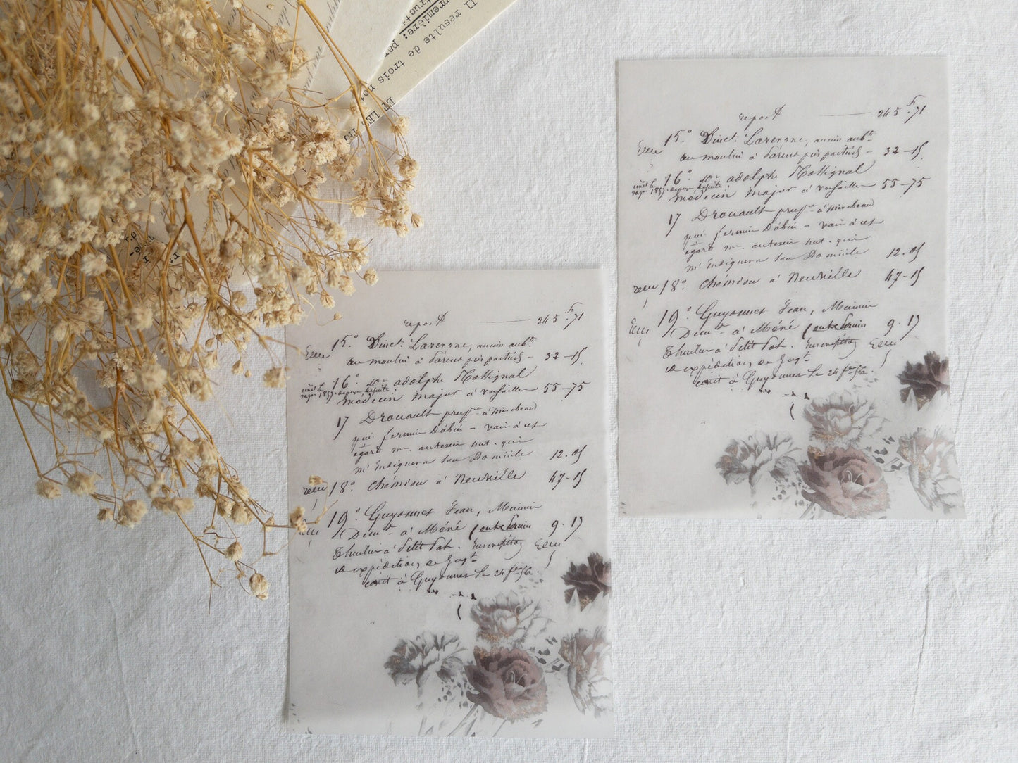 Vellum paper: Memories